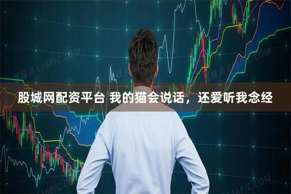 股城网配资平台 我的猫会说话，还爱听我念经