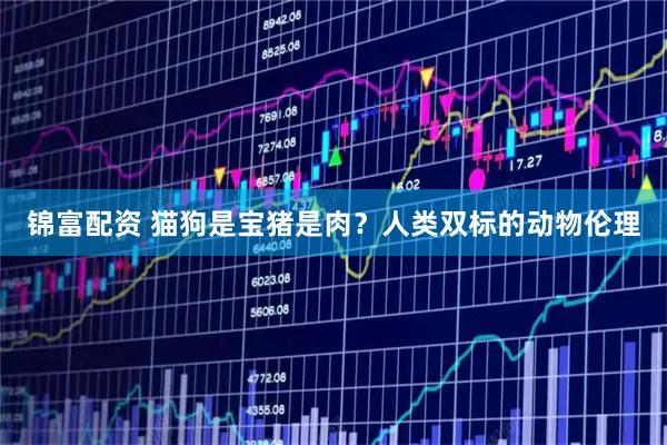 锦富配资 猫狗是宝猪是肉？人类双标的动物伦理